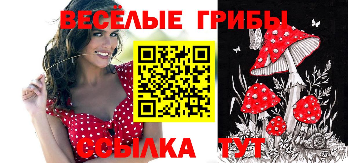 Отрадный  Галлюциногенные грибы прущие грибы  Вход с VPN  Галлюциногенные грибы мицелий 