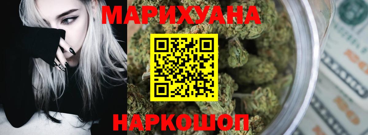 Конопля сатива Отрадный
